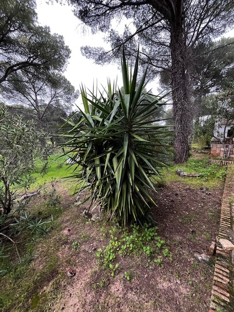 Jardín